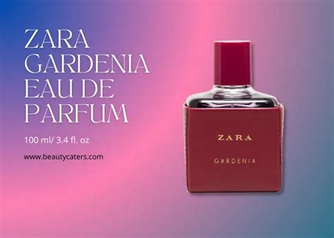 review zara gardenia